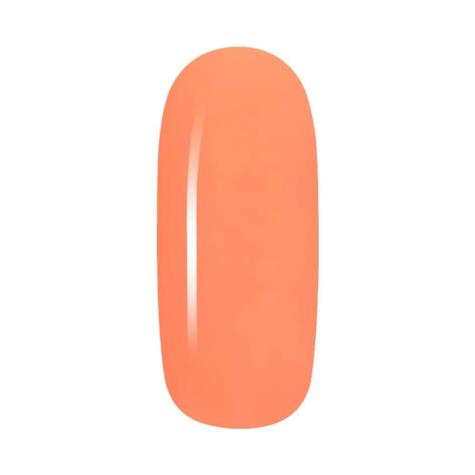 Candy Coat - Paint238